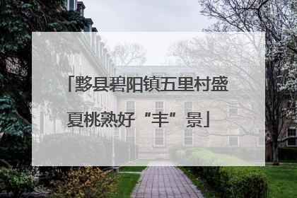 黟县碧阳镇五里村盛夏桃熟好“丰”景