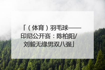（体育）羽毛球——印尼公开赛：陈柏阳/刘毅无缘男双八强