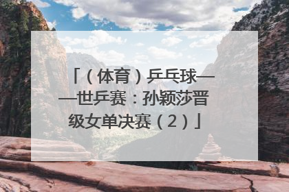 （体育）乒乓球——世乒赛：孙颖莎晋级女单决赛（2）