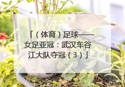 （体育）足球——女足亚冠：武汉车谷江大队夺冠（3）