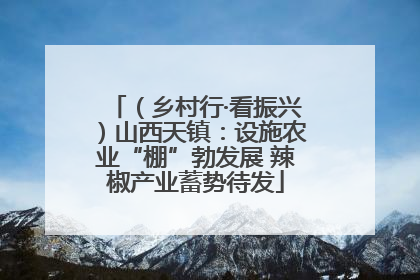 （乡村行·看振兴）山西天镇：设施农业“棚”勃发展 辣椒产业蓄势待发