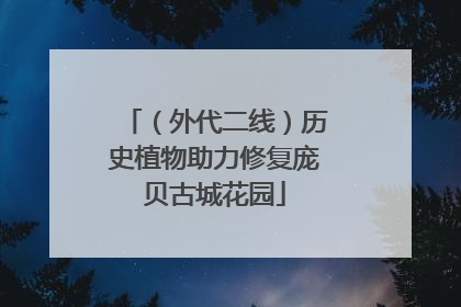 （外代二线）历史植物助力修复庞贝古城花园