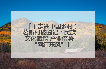（走进中国乡村）茗新村破圈记：民族文化赋能 产业借势 “网红东风”