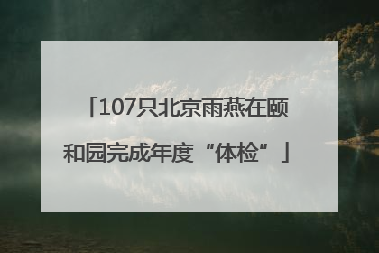 107只北京雨燕在颐和园完成年度“体检”