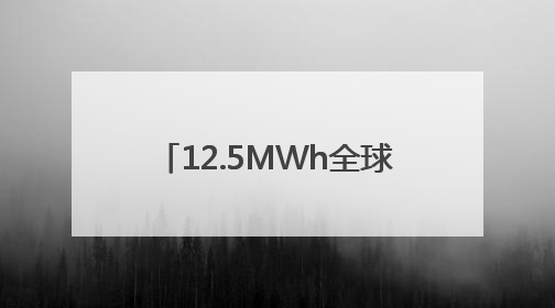 12.5MWh全球最大容量储能系统发布 合肥一季度储能系统同比增长425%