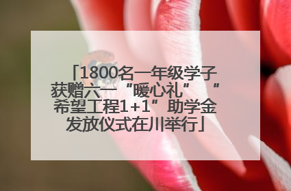 1800名一年级学子获赠六一“暖心礼” “希望工程1+1”助学金发放仪式在川举行