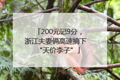 200元记9分，浙江夫妻俩高速摘下“天价李子”