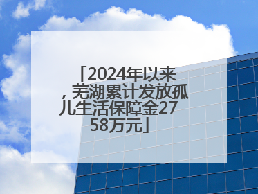 2024年以来，芜湖累计发放孤儿生活保障金2758万元