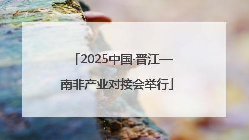 2025中国·晋江—南非产业对接会举行