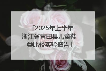 2025年上半年浙江省青田县儿童鞋类比较实验报告