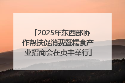 2025年东西部协作帮扶促消费暨糯食产业招商会在贞丰举行