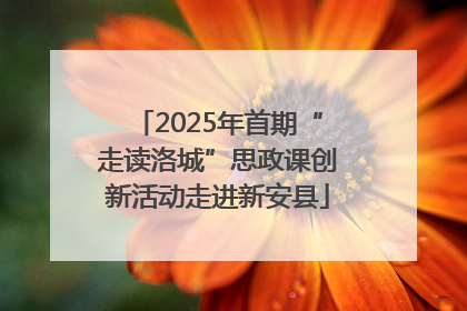 2025年首期“走读洛城”思政课创新活动走进新安县