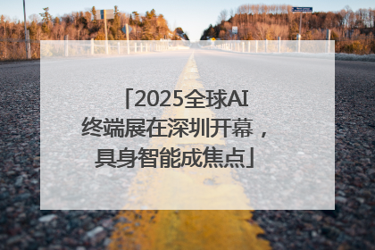 2025全球AI终端展在深圳开幕，具身智能成焦点