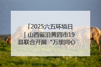 2025六五环境日｜山西省沿黄四市19县联合开展“万里同心，共护黄河”环保志愿者助力一泓清水入黄河公益活动