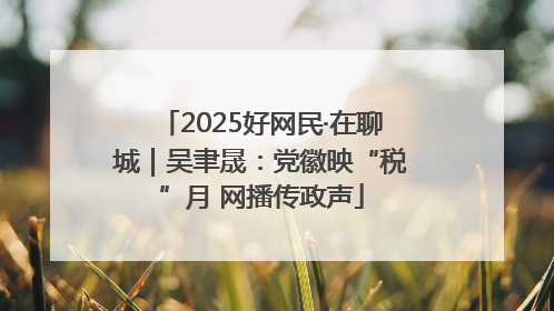 2025好网民·在聊城｜吴聿晟：党徽映“税”月 网播传政声