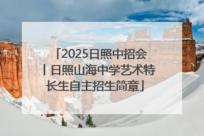 2025日照中招会丨日照山海中学艺术特长生自主招生简章