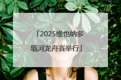2025维也纳多瑙河龙舟赛举行