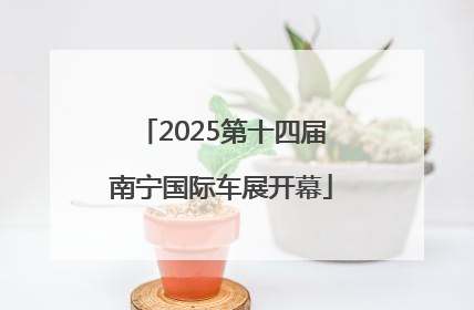 2025第十四届南宁国际车展开幕