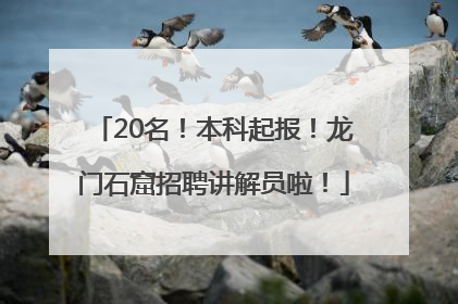 20名！本科起报！龙门石窟招聘讲解员啦！