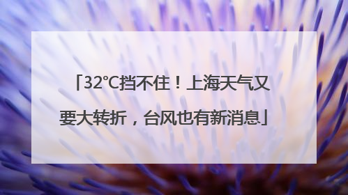 32℃挡不住！上海天气又要大转折，台风也有新消息