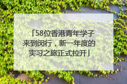 58位香港青年学子来到闵行，新一年度的实习之旅正式拉开