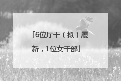6位厅干（拟）履新，1位女干部
