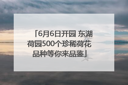 6月6日开园 东湖荷园500个珍稀荷花品种等你来品鉴