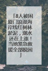 8人被困厦门浪漫海岸线红树林淤泥，潮水还在上涨！当地紧急救援全部脱困