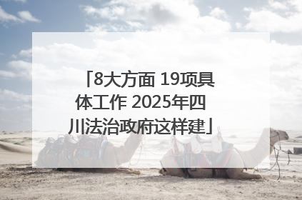 8大方面 19项具体工作 2025年四川法治政府这样建