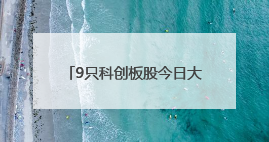 9只科创板股今日大宗交易平台发生交易