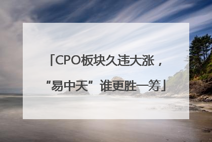 CPO板块久违大涨，“易中天”谁更胜一筹