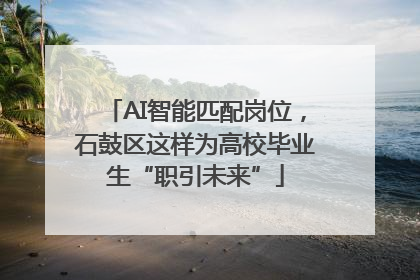 AI智能匹配岗位，石鼓区这样为高校毕业生“职引未来”
