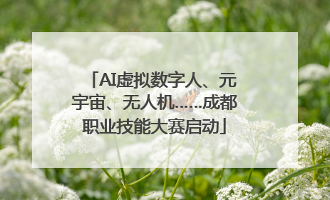AI虚拟数字人、元宇宙、无人机……成都职业技能大赛启动