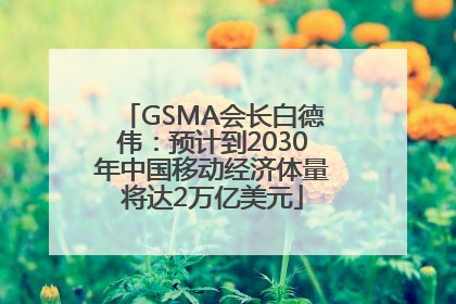 GSMA会长白德伟：预计到2030年中国移动经济体量将达2万亿美元