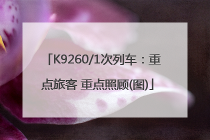 K9260/1次列车：重点旅客 重点照顾(图)
