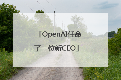 OpenAI任命了一位新CEO