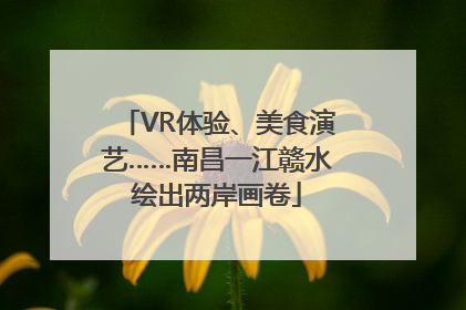 VR体验、美食演艺……南昌一江赣水绘出两岸画卷