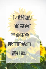 Z世代的“新茅台” 基金重金押注的新消费狂飙