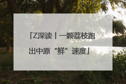 Z深读丨一颗荔枝跑出中原“鲜”速度