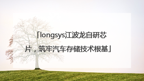 longsys江波龙自研芯片，筑牢汽车存储技术根基